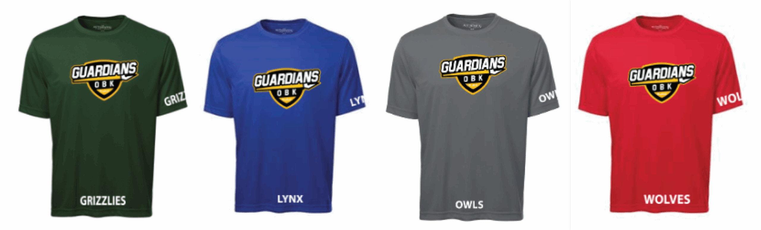 Youth Short Sleeve Colour House Shirt