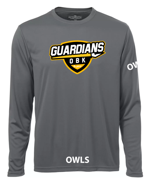 Owls Long SLeeve Gray