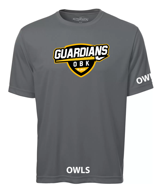 Owls Short Sleeve Gray